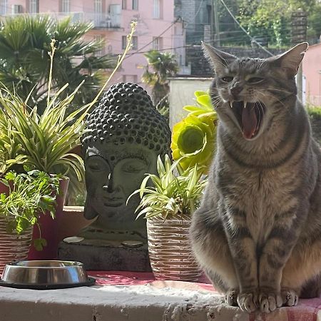 Pozzo Di Borgo Apartment Ajaccio  Bagian luar foto