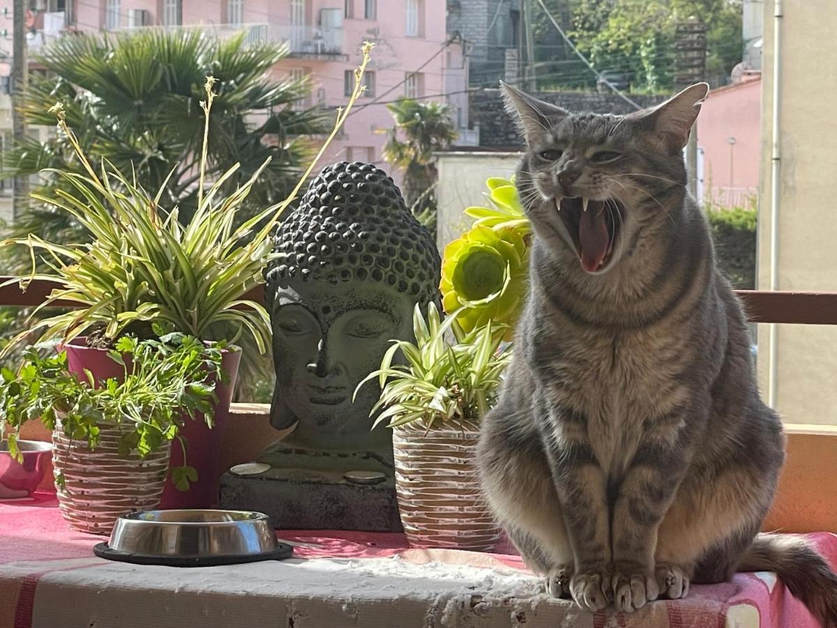 Pozzo Di Borgo Apartment Ajaccio  Bagian luar foto